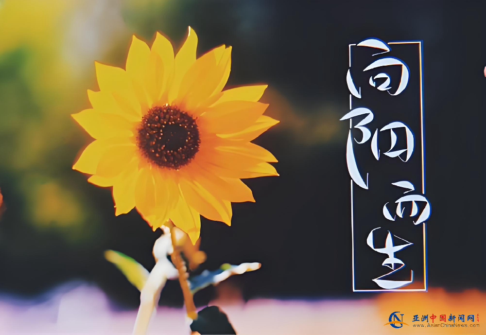 1763281336100471.png 1763281336100471.png