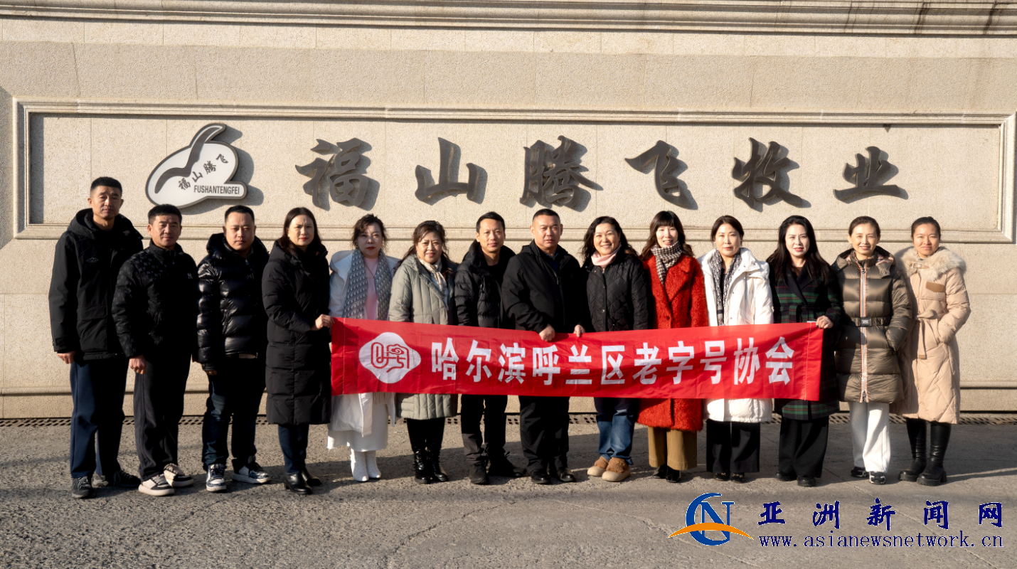 1765693020202261.png 1765693020202261.png