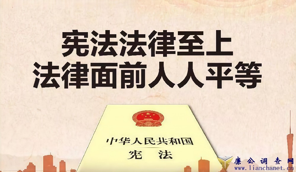 1771032633117104.jpg 1771032633117104.jpg